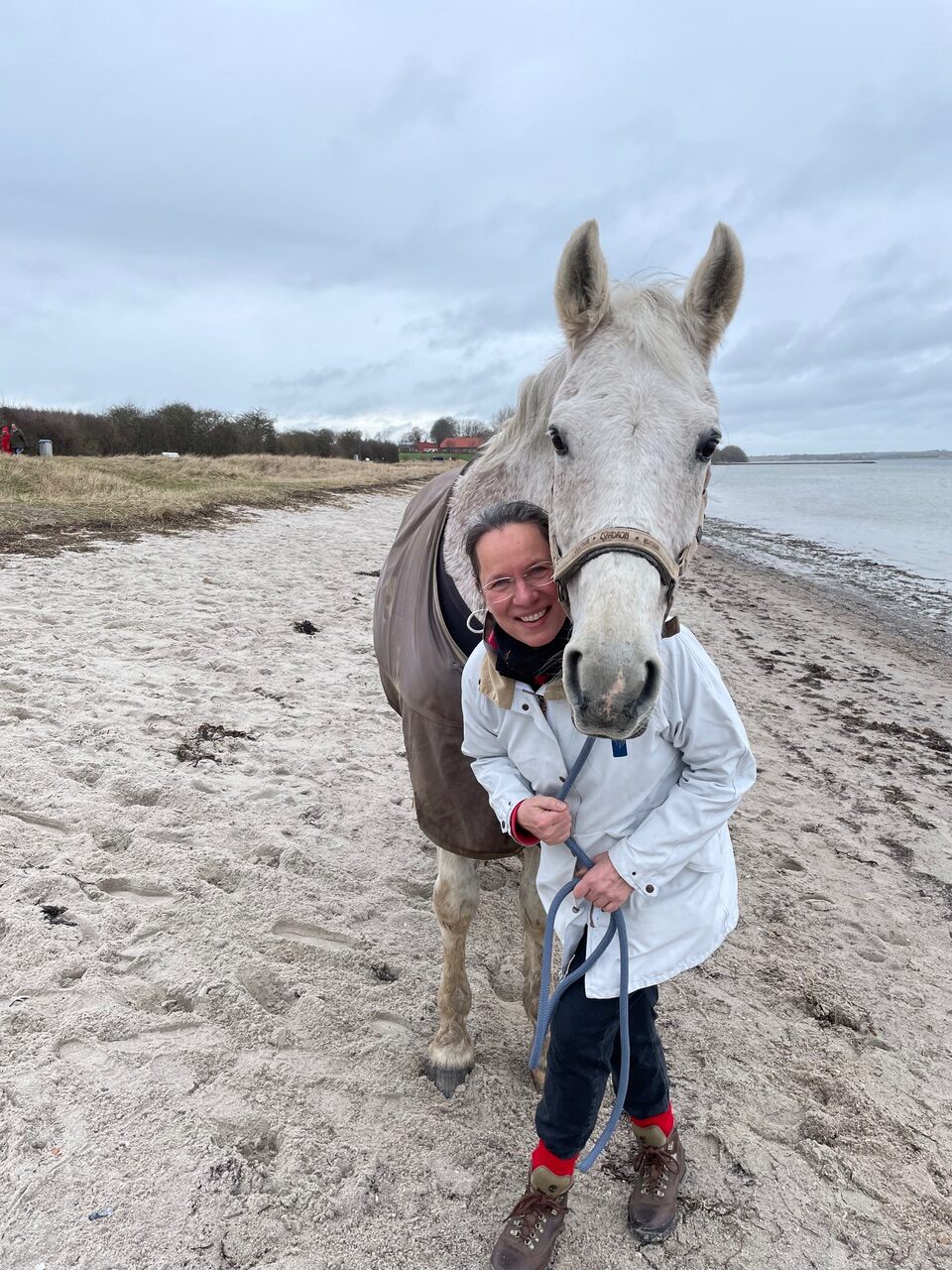 Warum ich Segel setze – Meine Reise zur Wegbegleiterin